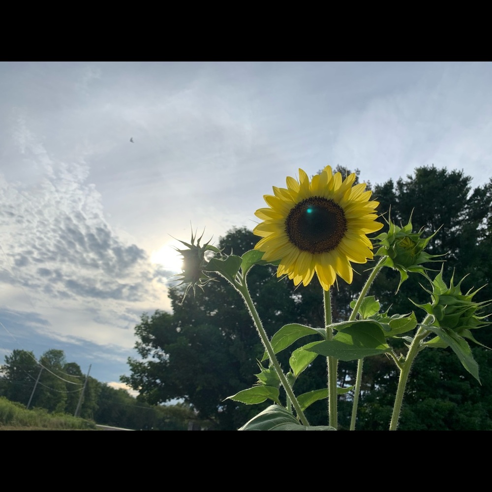 Meet your Posher, Autumn